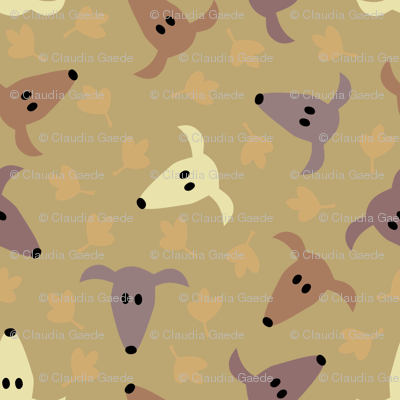 Sighthounds