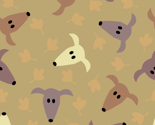 Sighthounds