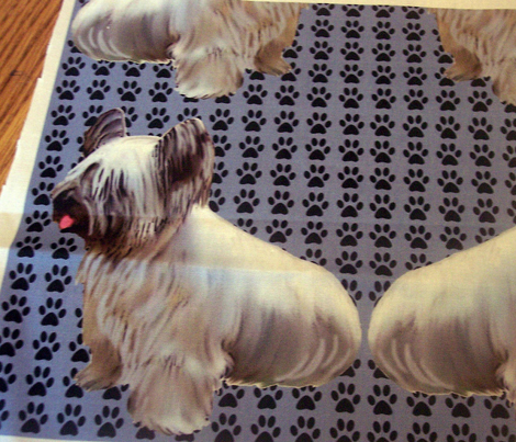 1599884_rskye_terrier2_comment_248489_preview