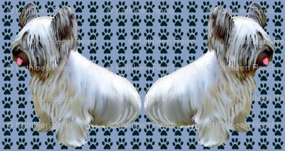 Skye Terrier Pawprints