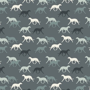 Deerhounds