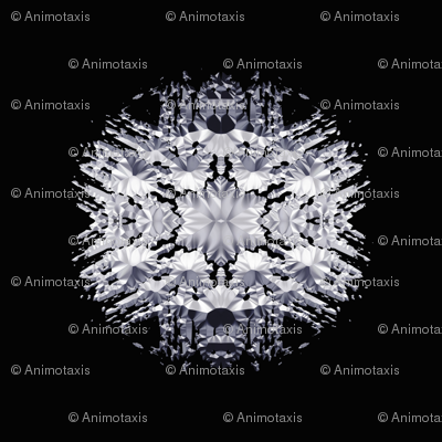 Chrome Crystal 1