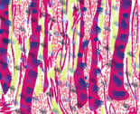 Rrrrmatisse_spoonflower_thumb