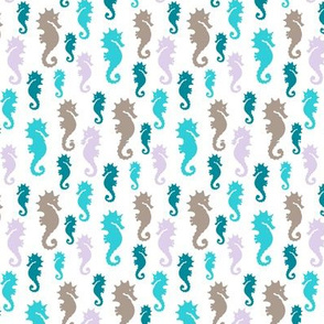 Manini marine seahorse
