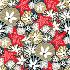 Sand Dollar & Starfish