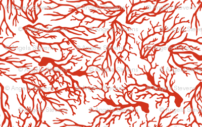 Coral
