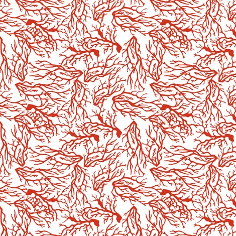 Rrrcoral_shop_preview