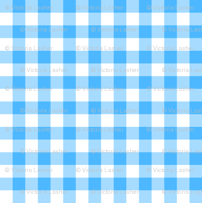 utensiless_blue_gingham