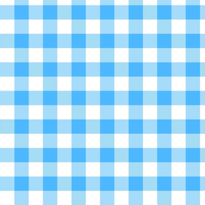 utensiless_blue_gingham