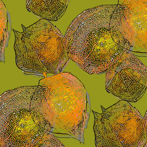 Groundcherry repeat