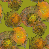 Groundcherry repeat