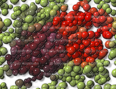 mnms