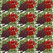 Rrrspoon-mnms_shop_thumb