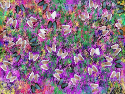 Butterfly Meadow