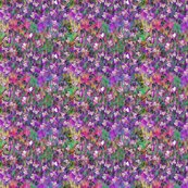 Magenta_butterfly_meadow_shop_thumb