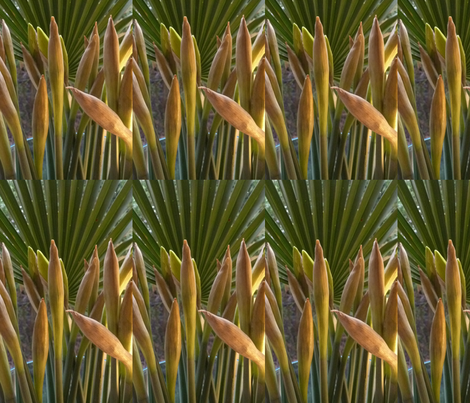 The daffodils- Part I fabric by lolainfrance on Spoonflower - custom fabric