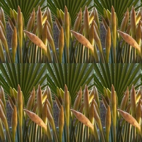 The daffodils- Part I
