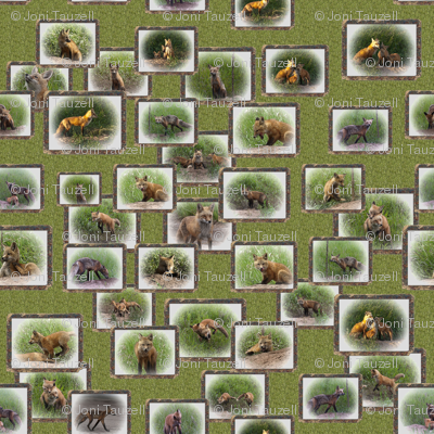 fox_2_pattern_resized