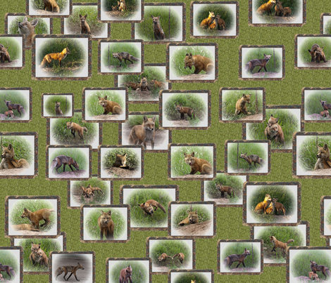 fox_2_pattern_resized fabric by jktauzell on Spoonflower - custom fabric