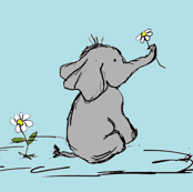 Jeffery Elephant