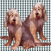 otterhounds