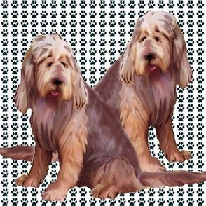 otterhounds