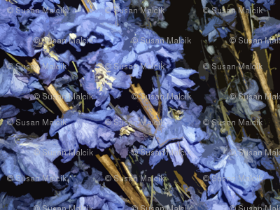 Dried Blue Flowers