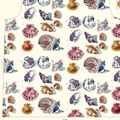 Rrrcestlavivriviera_shellt_shop_thumb