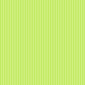 Carousel Ponies - Coordinating Green Stripe