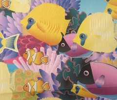 Coral8-01_comment_297294_preview
