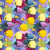 Rcoral7-01_shop_thumb