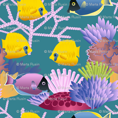 tropical fish