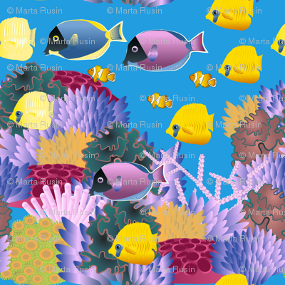 life on coral reef