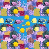 Rcoral3-01_shop_thumb