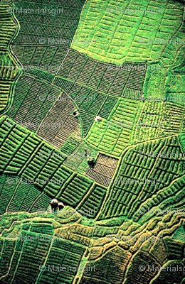 Aerial Fields