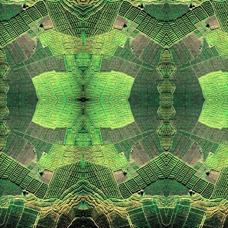 Rrrraerial_of_fields_ed_shop_preview