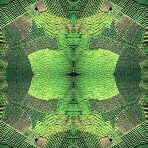Aerial Fields
