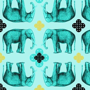 elefante4