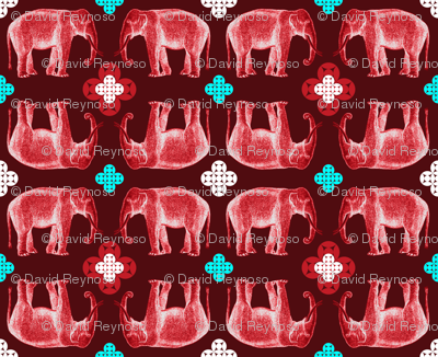 elefante5