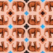 elefante7