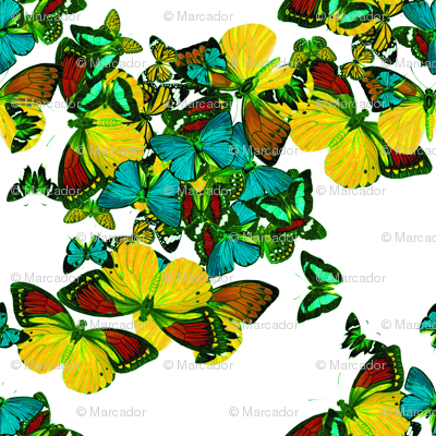 flutter3