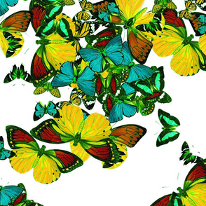 flutter3