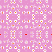 daisy garden