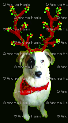 hazel_xmas