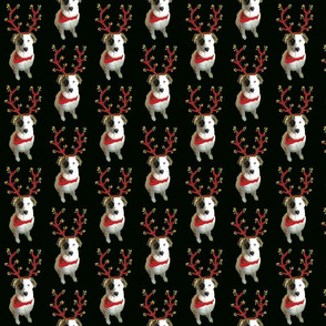 hazel_xmas