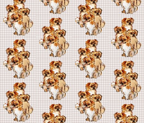 Rtibetan_spaniels_group__shop_preview