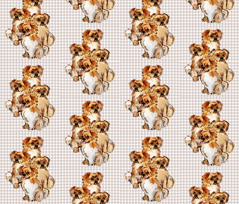 Tibetan Spaniels fabric by dogdaze_ on Spoonflower - custom fabric
