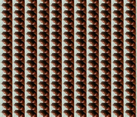 149450_421596667852116_1312285616_n_shop_preview
