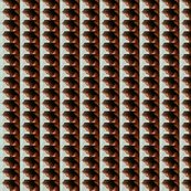 149450_421596667852116_1312285616_n_shop_thumb
