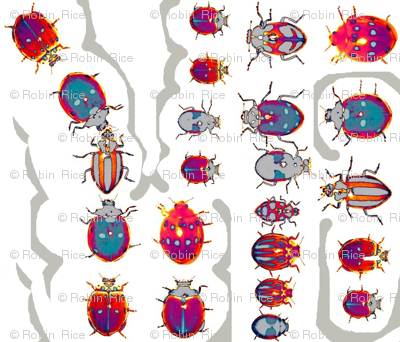 The Lives of Beetles